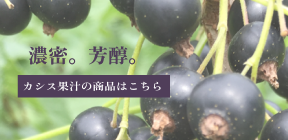 濃密。芳醇。カシス果汁の商品はこちら